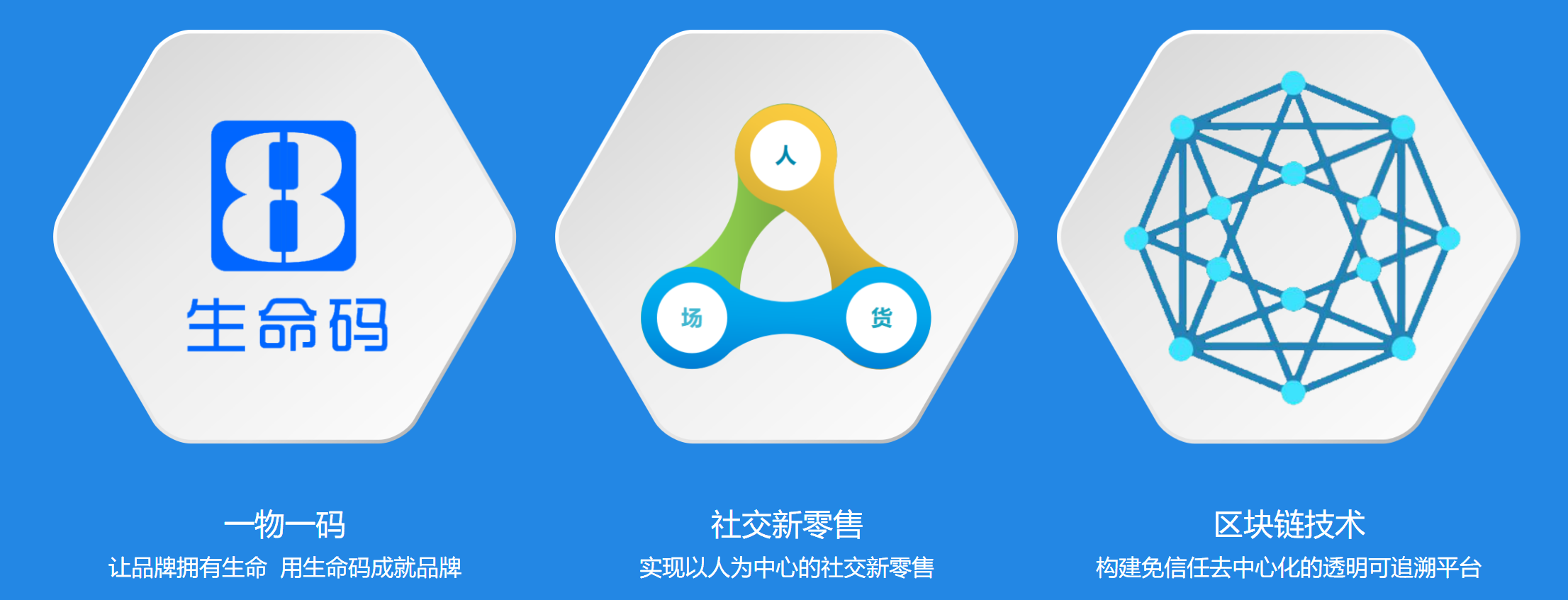 图片展示